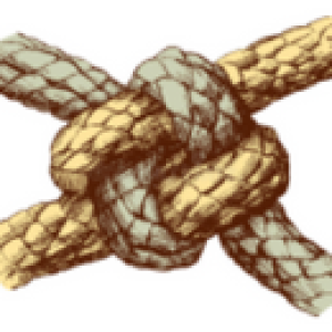 3 3